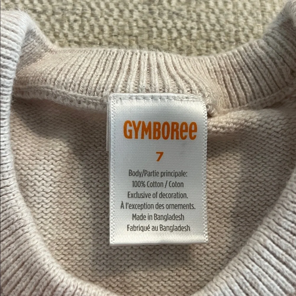 Gymboree Girl’s Cream Knit Sweater Dress with Pumpkin Accent